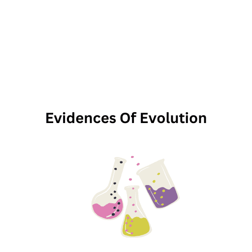 Evidences Of Evolution